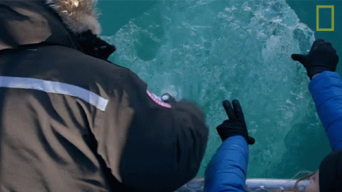 Person in Black Canada Goose Jacket