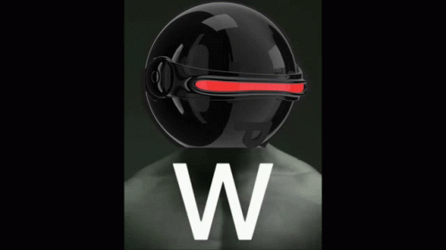 Person In Black Helmet With Letter W GIF