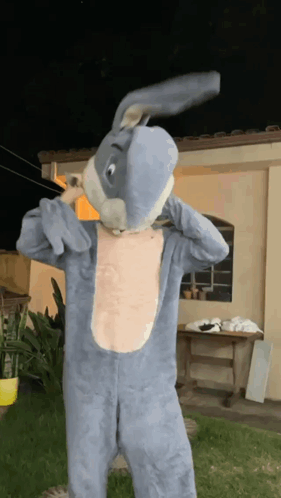 Person in Bunny Costume