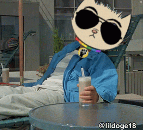 Person in Cat Mask and Sunglasses With Milkshake