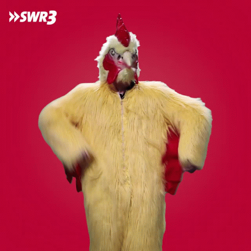 Person in Chicken Costume swr3