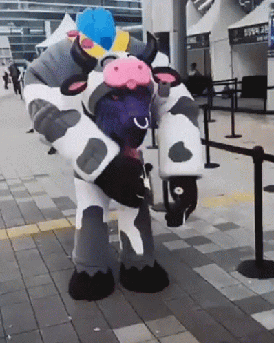 Person In Cow Costume Holding Milk GIF