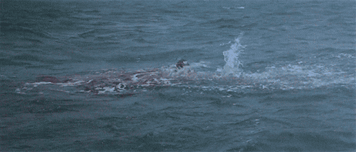 Person In Distress Drowns In The Ocean GIF