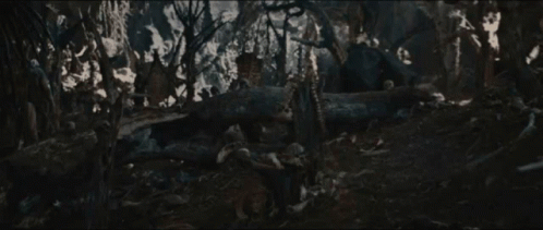 Person in Forest