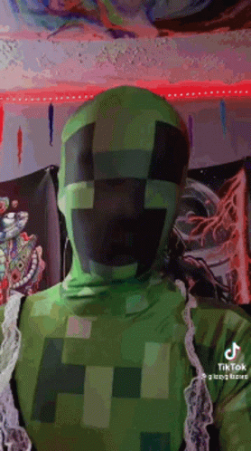 Person In Green Minecraft Creeper Costume GIF