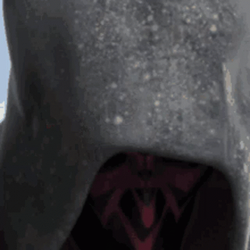 Person In Hooded Jacket And Red Scarf GIF