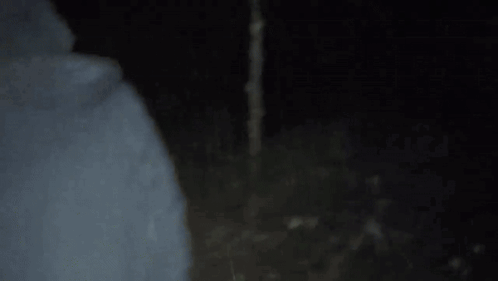 Person in Hooded Jacket Walking Through Dark Forest With Flashlight