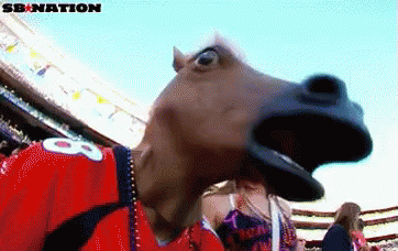 Person In Horse Mask With Number 8 Jersey GIF