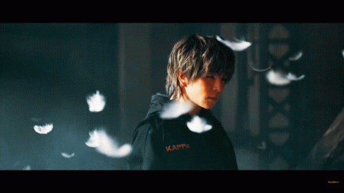 Person In Kappa Hoodie With Flying Feathers GIF