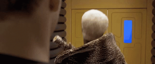 Person in Leopard Print Coat
