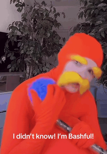 Person in Orange Costume Saying I Didn't Know I'm Bashful