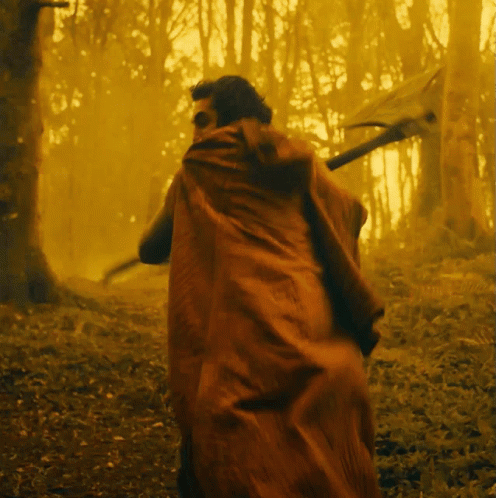 Person In Red Cape Walking Through Forest GIF