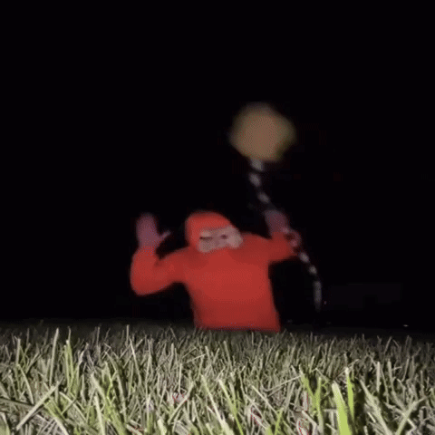 Person in Red Hoodie Standing in Grass