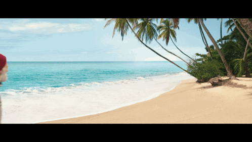 Person In Santa Hat On Beach GIF