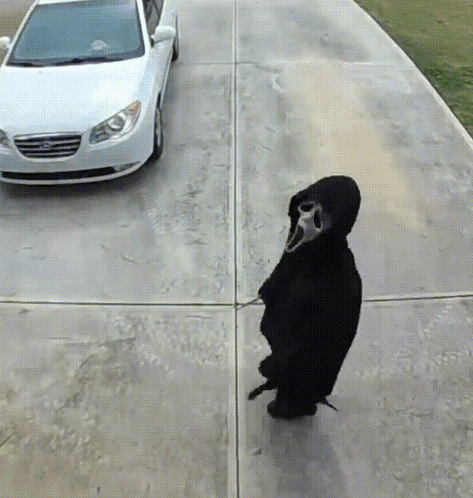 Person in Scream Mask Walking Beside White Car