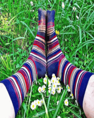 Person in Striped Socks Lying in Grass With Daisies