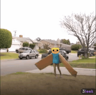 Person in Sunglasses and Cardboard Wing Costume