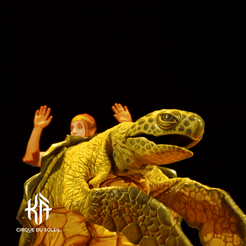 Person In Turtle Costume Dancing On Stage GIF