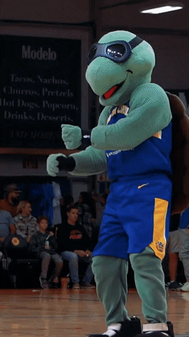 Person In Turtle Mascot Dancing In Court GIF