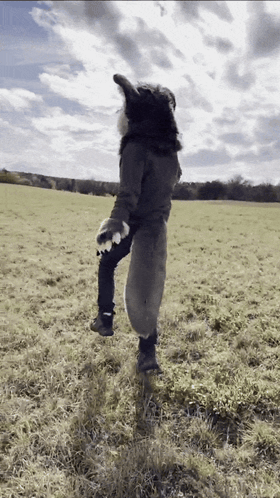 Person In Wolf Costume Standing On One Leg GIF