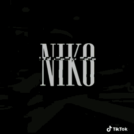 Person Jumping on Trampoline with Niko
