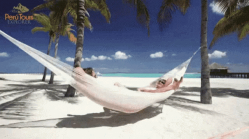 Person Laying Hammock Beach Peru Tours Explorer GIF