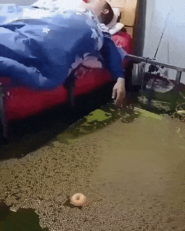 Person Laying on Bed in Puddle of Water