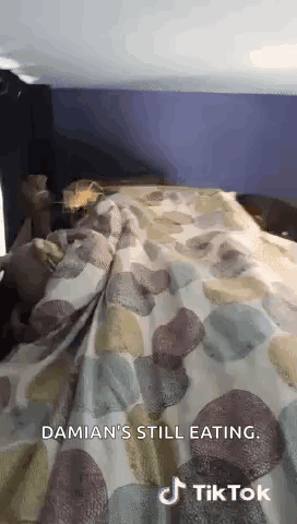 Person Laying on Bed With Blanket and Purple Wall