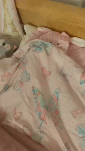 Person Laying on Bed With Stuffed Animal on Head