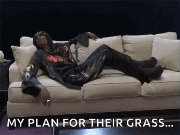 Person Laying on Couch Saying My Plan for Their Grass
