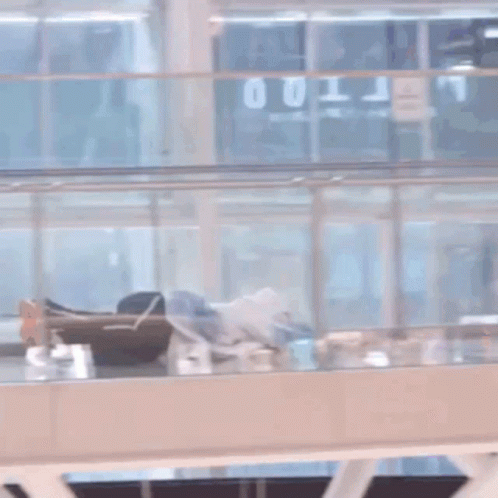 Person Laying On Glass Floor GIF
