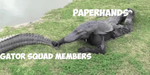 Person Laying on Grass With Crocodile Paperhands Gator Squad Members