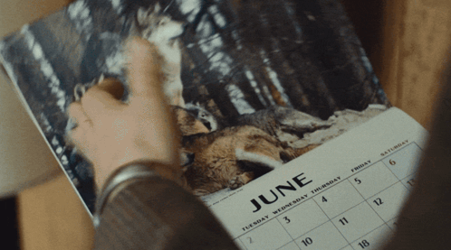 Person Looking At June Calendar GIF