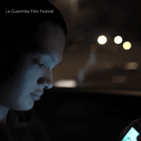 Person Looking At Phone La Guarimba Film Festival GIF