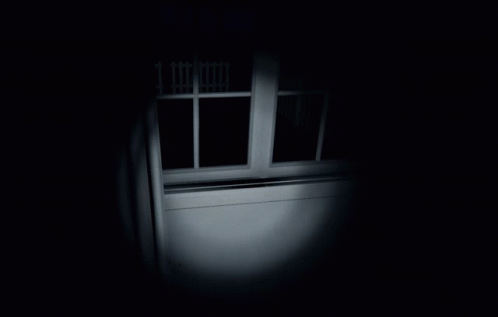 Person Looking Out Window With Fence GIF