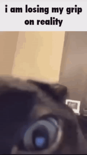 Person Losing Grip On Reality GIF