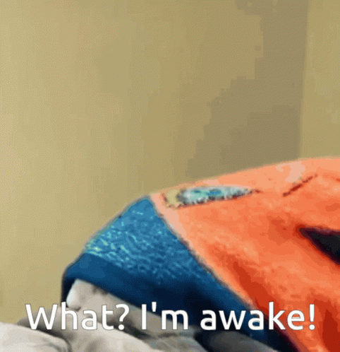Person Lying on Bed Saying What I M Awake