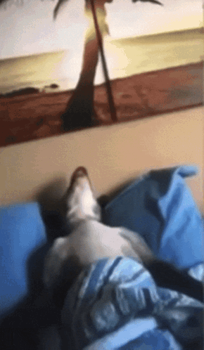 Person Lying On Bed With Beach Painting GIF