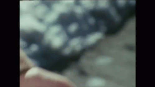 Person Lying On Bed With Blue And White Blanket GIF