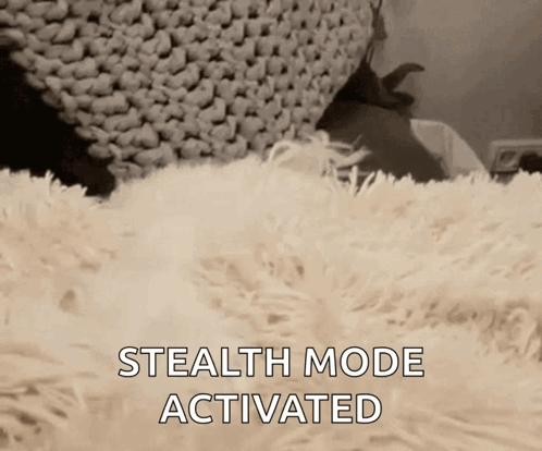 Person Lying on Fluffy Blanket With Stealth Mode Activated