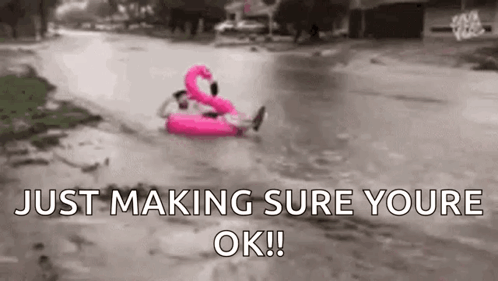 Person Lying On Pink Flamingo Float GIF