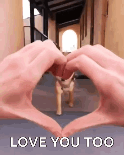 Person Making Heart Shape With Love You Too