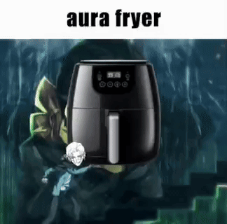 Person Next to Black Air Fryer Aura Fryer