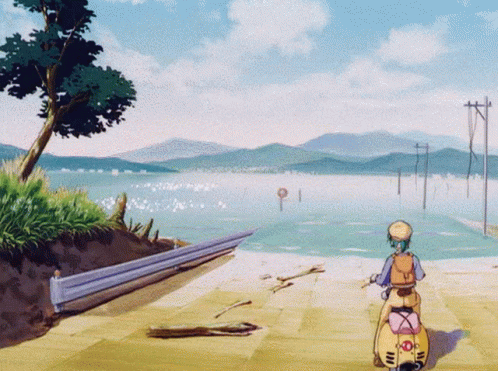 Person On Scooter Looking At Water GIF
