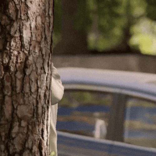 Person Peeking Behind Tree
