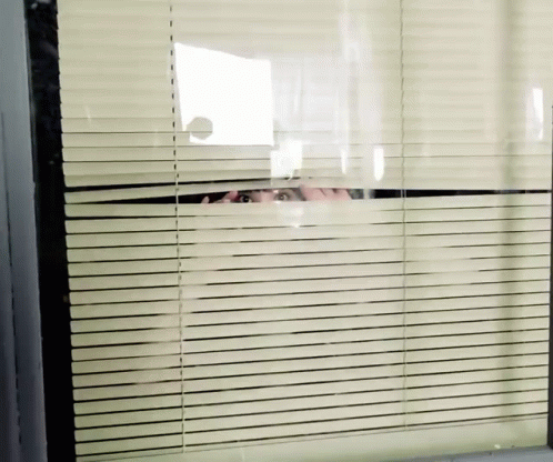 Person Peeking Through Window Blinds GIF