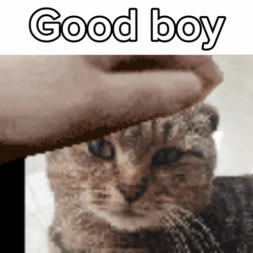 Person Petting Dog Saying Whos My Good Little Republican Good Boy