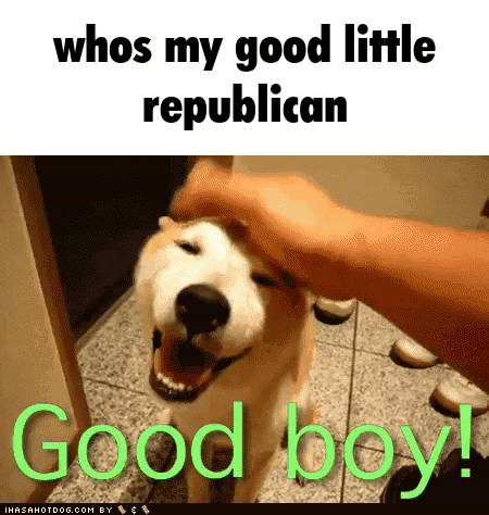 Person Petting Dog Saying Whos My Good Little Republican Good Boy