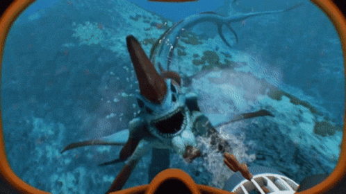Person Petting Fish in Ocean
