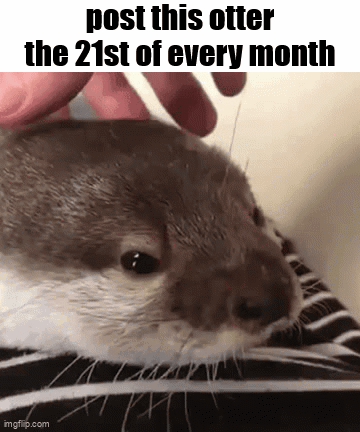 Person Petting Otter On Blanket GIF